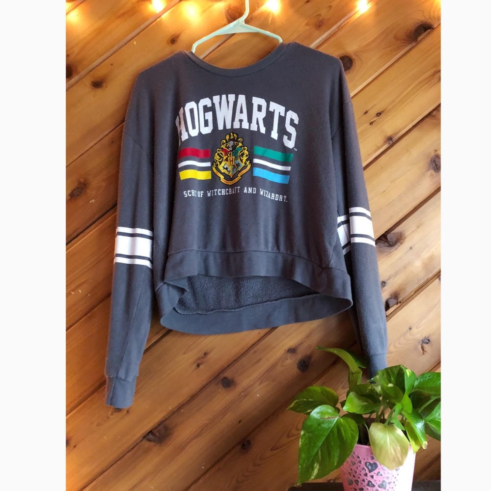 Slightly Cropped Hogwarts Longsleeve !